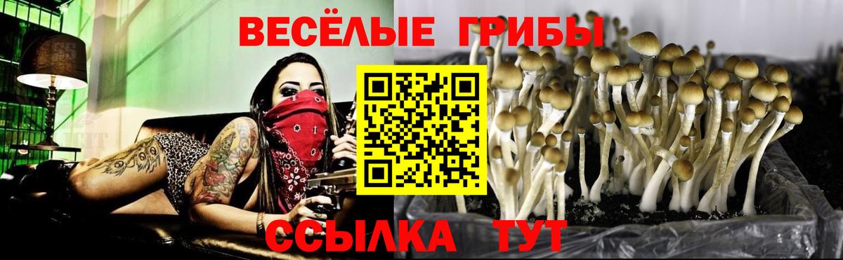 Медногорск  Галлюциногенные грибы мухоморы  Вход с VPN 